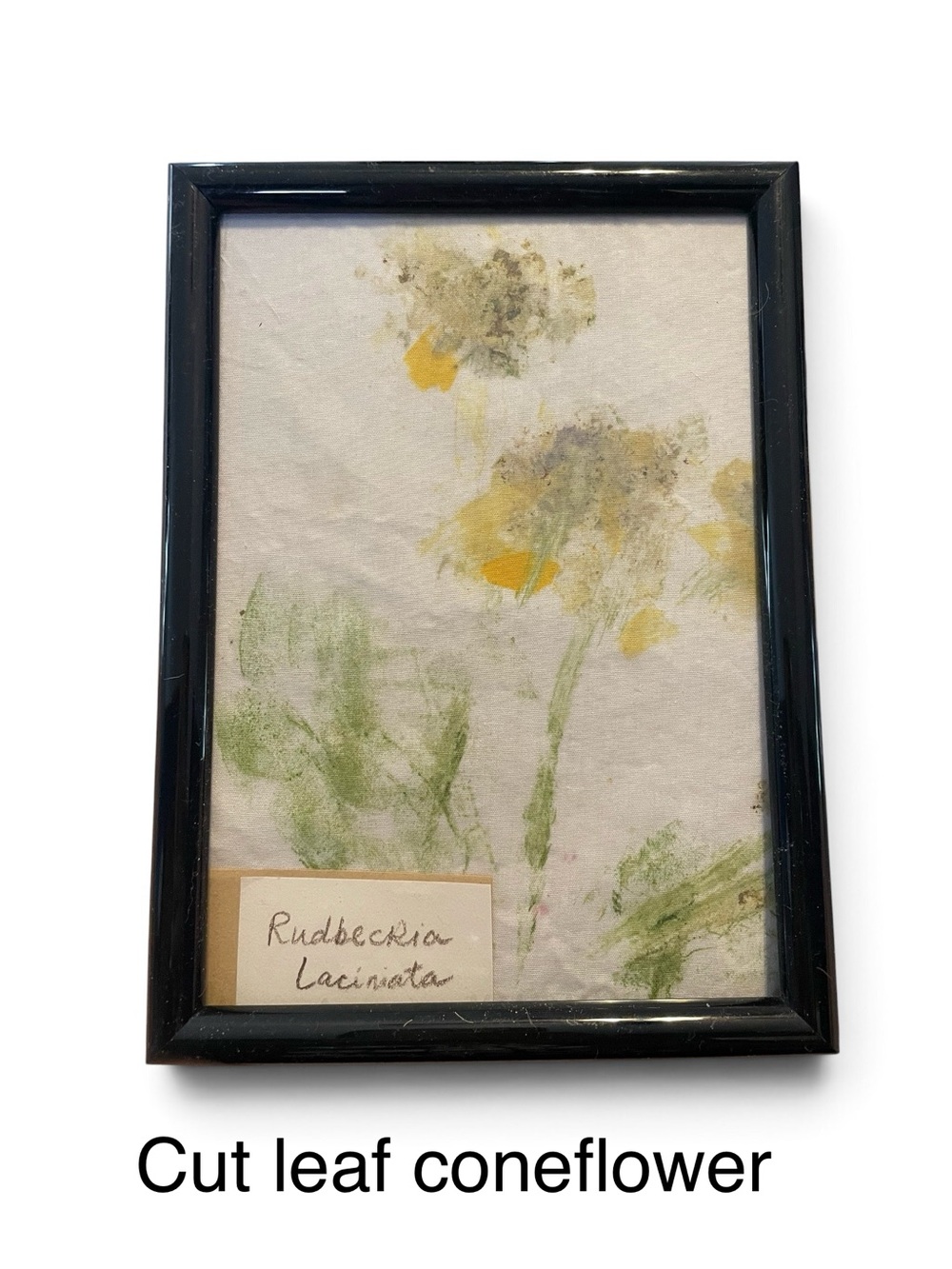 Framed Botanical Handmade Hammered Art Print